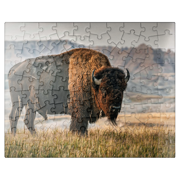 puzzleplate American Bison in South Dakota 100 Jigsaw Puzzle