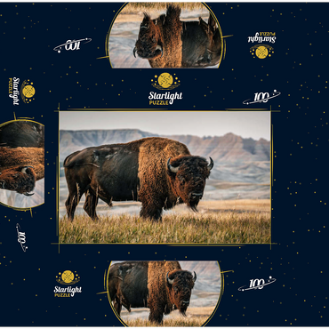 American Bison in South Dakota 100 Jigsaw Puzzle box 3D Modell