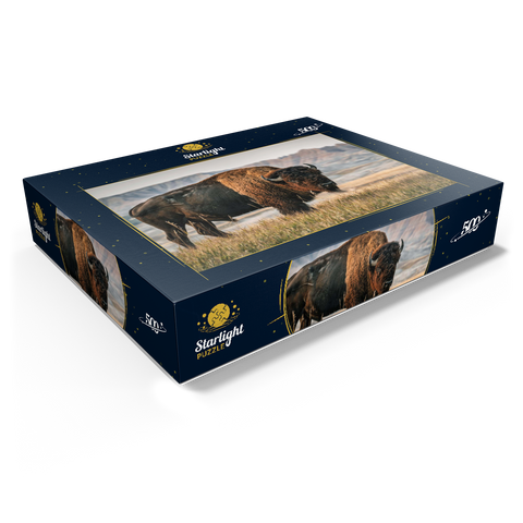 American Bison in South Dakota 500 Jigsaw Puzzle box view1