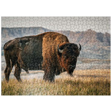 puzzleplate American Bison in South Dakota 500 Jigsaw Puzzle