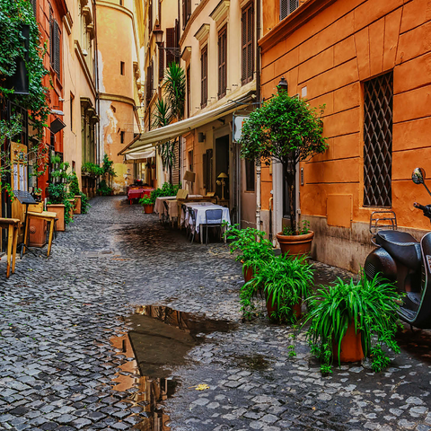 View of an old narrow street in Rome, Italy 1000 Jigsaw Puzzle 3D Modell