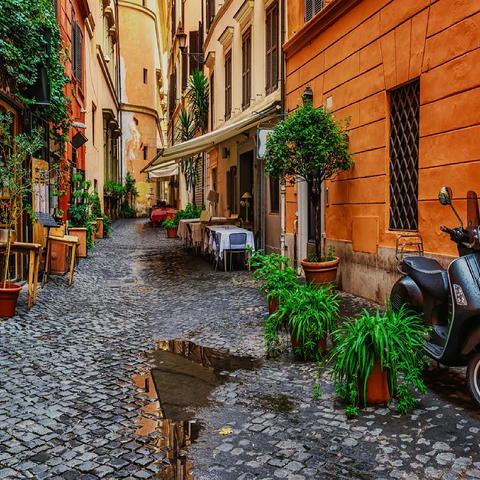 View of an old narrow street in Rome, Italy 100 Jigsaw Puzzle 3D Modell