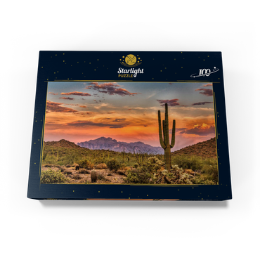 Sunset in the Sonoran Desert near Phoenix, Arizona 100 Jigsaw Puzzle box view1
