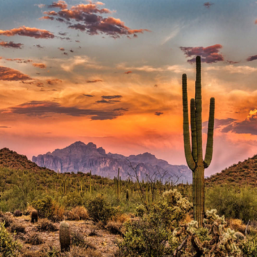Sunset in the Sonoran Desert near Phoenix, Arizona 100 Jigsaw Puzzle 3D Modell