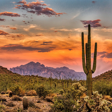 Sunset in the Sonoran Desert near Phoenix, Arizona 500 Jigsaw Puzzle 3D Modell