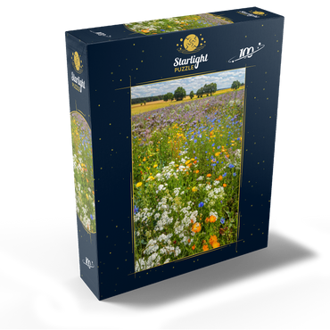 Summer flower meadow near Eichstätt 100 Jigsaw Puzzle box view1