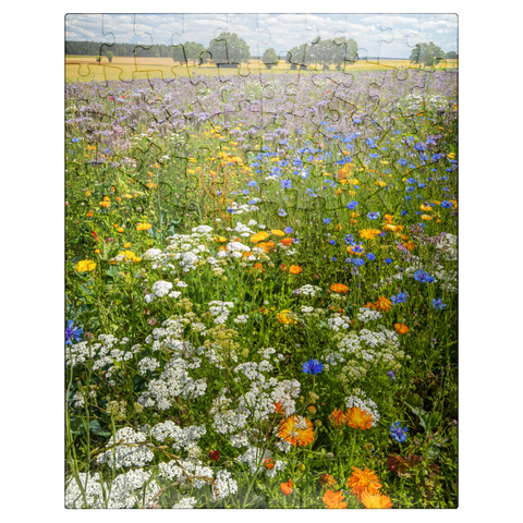 puzzleplate Summer flower meadow near Eichstätt 100 Jigsaw Puzzle