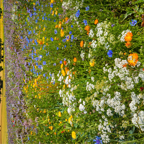 Summer flower meadow near Eichstätt 100 Jigsaw Puzzle 3D Modell