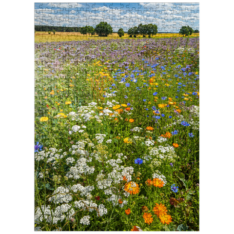 puzzleplate Summer flower meadow near Eichstätt 500 Jigsaw Puzzle