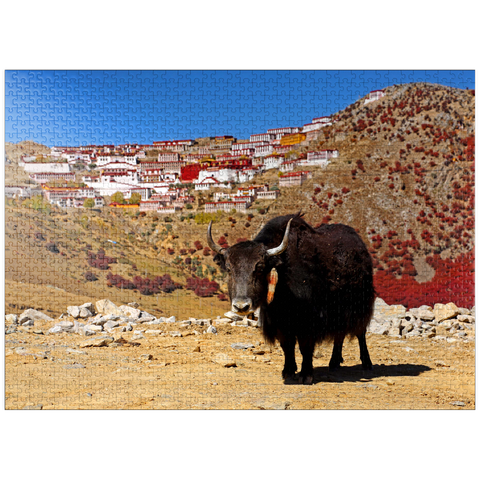 puzzleplate Yak with view to Ganden Monastery at Drog Riboche Mountain near Tagtse Dzong, Tibet, China 1000 Jigsaw Puzzle