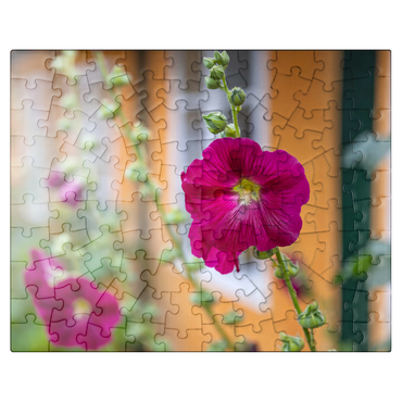 puzzleplate Hollyhocks on a house in the old town 100 Jigsaw Puzzle