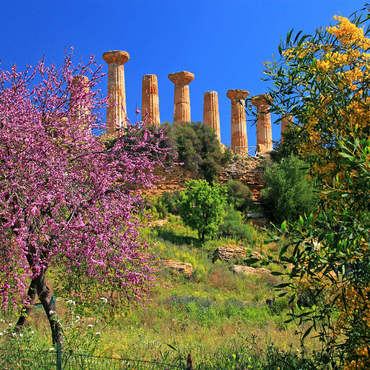 Flowering trees with the Temple of Heracles in the Valley of the Temples - Italy 1000 Jigsaw Puzzle 3D Modell