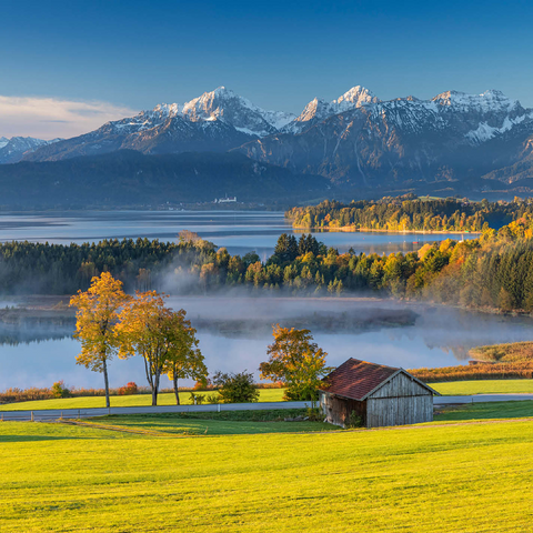 View over the Forggensee near Füssen 500 Jigsaw Puzzle 3D Modell