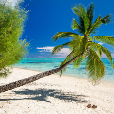 Palm beach on the island of Aitutaki, Cook Islands, South Seas 100 Jigsaw Puzzle 3D Modell