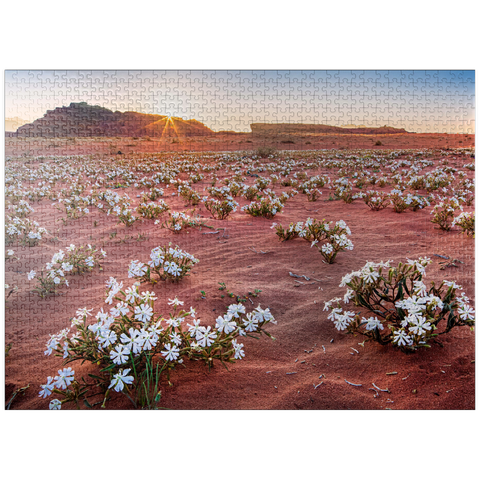 puzzleplate The desert blooms, flowers in the sand in the sunrise, Wadi Rum, Aqaba governorate, Jordan 1000 Jigsaw Puzzle