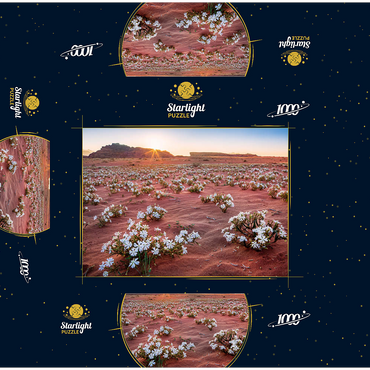 The desert blooms, flowers in the sand in the sunrise, Wadi Rum, Aqaba governorate, Jordan 1000 Jigsaw Puzzle box 3D Modell