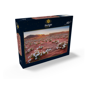 The desert blooms, flowers in the sand in the sunrise, Wadi Rum, Aqaba governorate, Jordan 100 Jigsaw Puzzle box view1