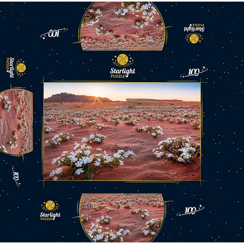 The desert blooms, flowers in the sand in the sunrise, Wadi Rum, Aqaba governorate, Jordan 100 Jigsaw Puzzle box 3D Modell