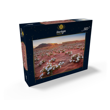 The desert blooms, flowers in the sand in the sunrise, Wadi Rum, Aqaba governorate, Jordan 500 Jigsaw Puzzle box view1