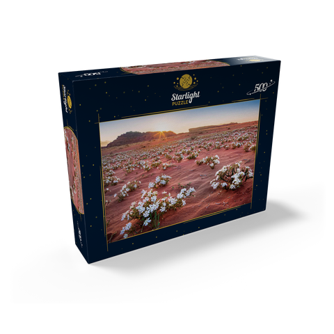 The desert blooms, flowers in the sand in the sunrise, Wadi Rum, Aqaba governorate, Jordan 500 Jigsaw Puzzle box view1