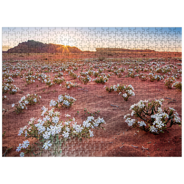 puzzleplate The desert blooms, flowers in the sand in the sunrise, Wadi Rum, Aqaba governorate, Jordan 500 Jigsaw Puzzle