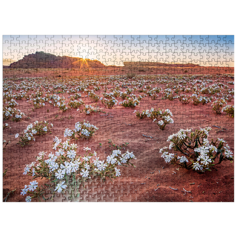puzzleplate The desert blooms, flowers in the sand in the sunrise, Wadi Rum, Aqaba governorate, Jordan 500 Jigsaw Puzzle
