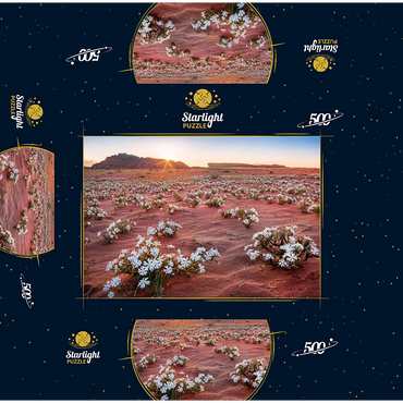 The desert blooms, flowers in the sand in the sunrise, Wadi Rum, Aqaba governorate, Jordan 500 Jigsaw Puzzle box 3D Modell