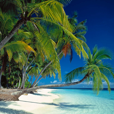 Vacation paradise, Maldives 100 Jigsaw Puzzle 3D Modell