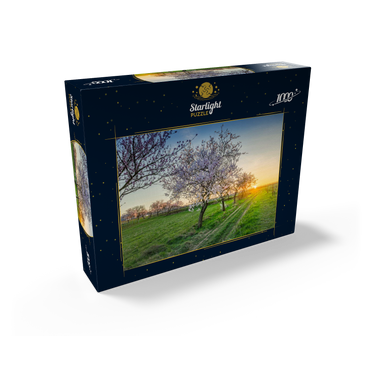 Blossoming almond trees at Geilweilerhof 1000 Jigsaw Puzzle box view1