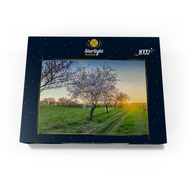 Blossoming almond trees at Geilweilerhof 1000 Jigsaw Puzzle box view1