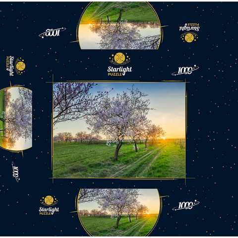 Blossoming almond trees at Geilweilerhof 1000 Jigsaw Puzzle box 3D Modell