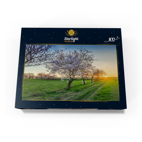 Blossoming almond trees at Geilweilerhof 100 Jigsaw Puzzle box view1