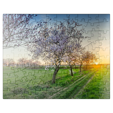 puzzleplate Blossoming almond trees at Geilweilerhof 100 Jigsaw Puzzle