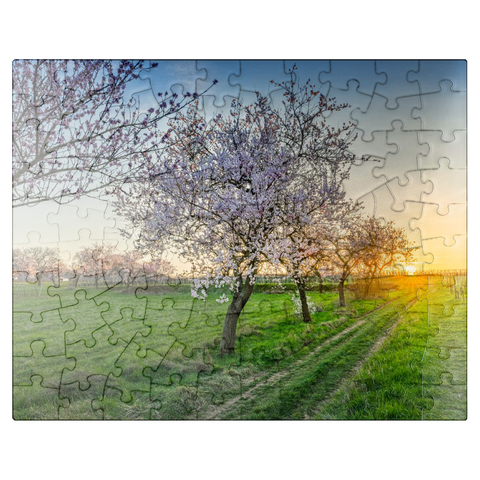puzzleplate Blossoming almond trees at Geilweilerhof 100 Jigsaw Puzzle