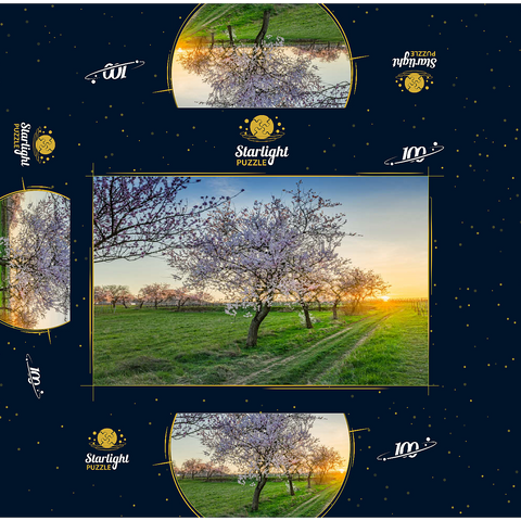 Blossoming almond trees at Geilweilerhof 100 Jigsaw Puzzle box 3D Modell