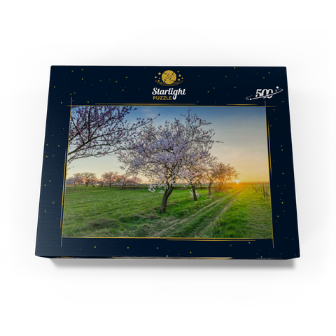 Blossoming almond trees at Geilweilerhof 500 Jigsaw Puzzle box view1