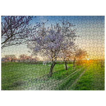 puzzleplate Blossoming almond trees at Geilweilerhof 500 Jigsaw Puzzle