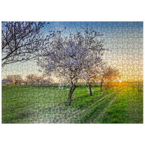 puzzleplate Blossoming almond trees at Geilweilerhof 500 Jigsaw Puzzle