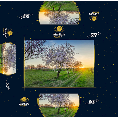 Blossoming almond trees at Geilweilerhof 500 Jigsaw Puzzle box 3D Modell
