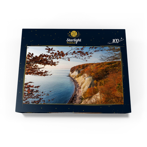 Beech forest on the chalk coast in Jasmund National Park, Rügen Island - Germany 100 Jigsaw Puzzle box view1