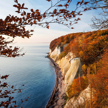 Beech forest on the chalk coast in Jasmund National Park, Rügen Island - Germany 100 Jigsaw Puzzle 3D Modell