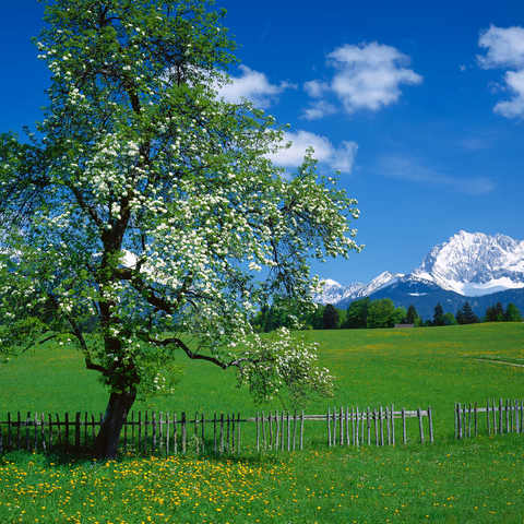 Landscape near Gerold against the Karwendel mountains with the Wörner (2476m) 500 Jigsaw Puzzle 3D Modell