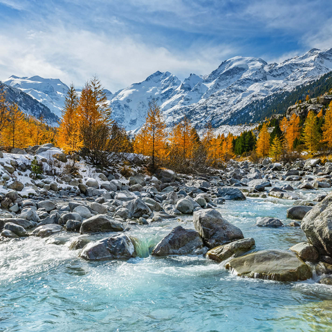 River Ova in Val Mortertsch with the Bernina Group 1000 Jigsaw Puzzle 3D Modell