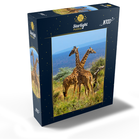 Amboseli National Park, Kenya, Giraffes (Giraffa camelopardalis) 1000 Jigsaw Puzzle box view1