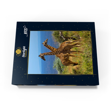 Amboseli National Park, Kenya, Giraffes (Giraffa camelopardalis) 1000 Jigsaw Puzzle box view1