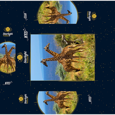 Amboseli National Park, Kenya, Giraffes (Giraffa camelopardalis) 1000 Jigsaw Puzzle box 3D Modell