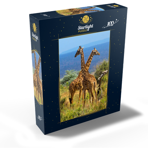 Amboseli National Park, Kenya, Giraffes (Giraffa camelopardalis) 100 Jigsaw Puzzle box view1