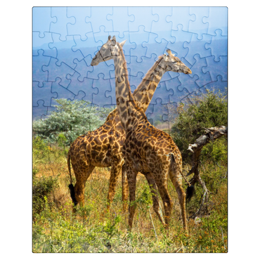 puzzleplate Amboseli National Park, Kenya, Giraffes (Giraffa camelopardalis) 100 Jigsaw Puzzle