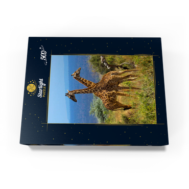 Amboseli National Park, Kenya, Giraffes (Giraffa camelopardalis) 500 Jigsaw Puzzle box view1