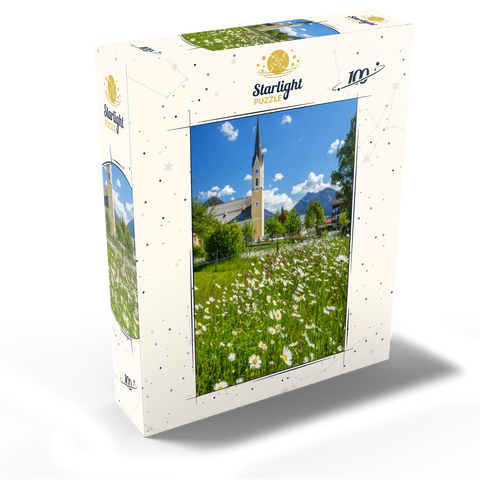 Flower meadow in front of the church St. Sixtus 100 Jigsaw Puzzle box view1